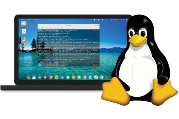Linux Sunucuda Gelişmiş Konteyner Yönetimi Rehberi